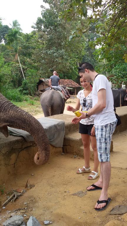 Suwani Pinnawala Homestay Esterno foto
