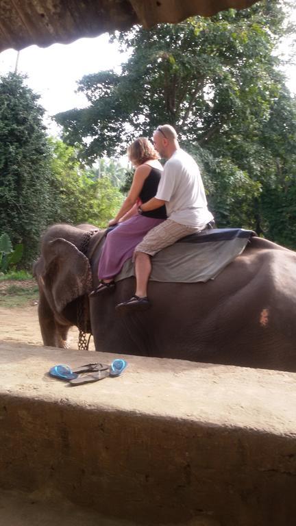 Suwani Pinnawala Homestay Esterno foto