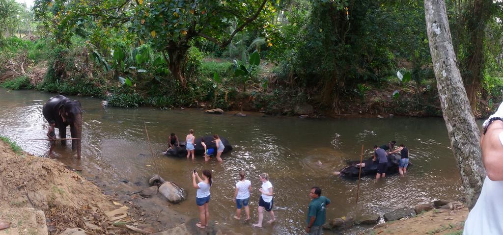 Suwani Pinnawala Homestay Esterno foto
