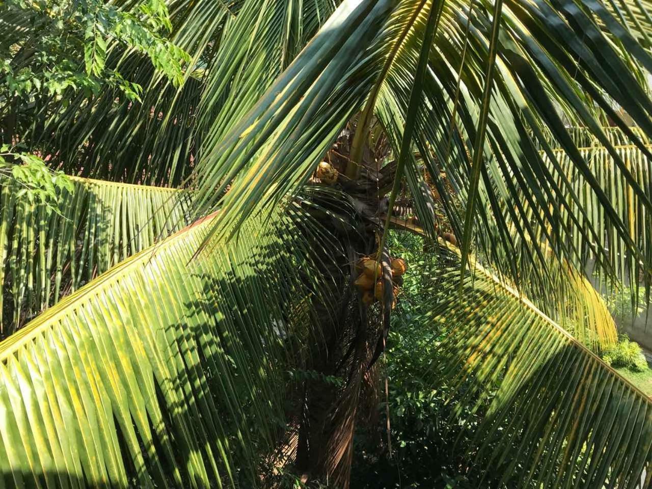 Suwani Pinnawala Homestay Esterno foto