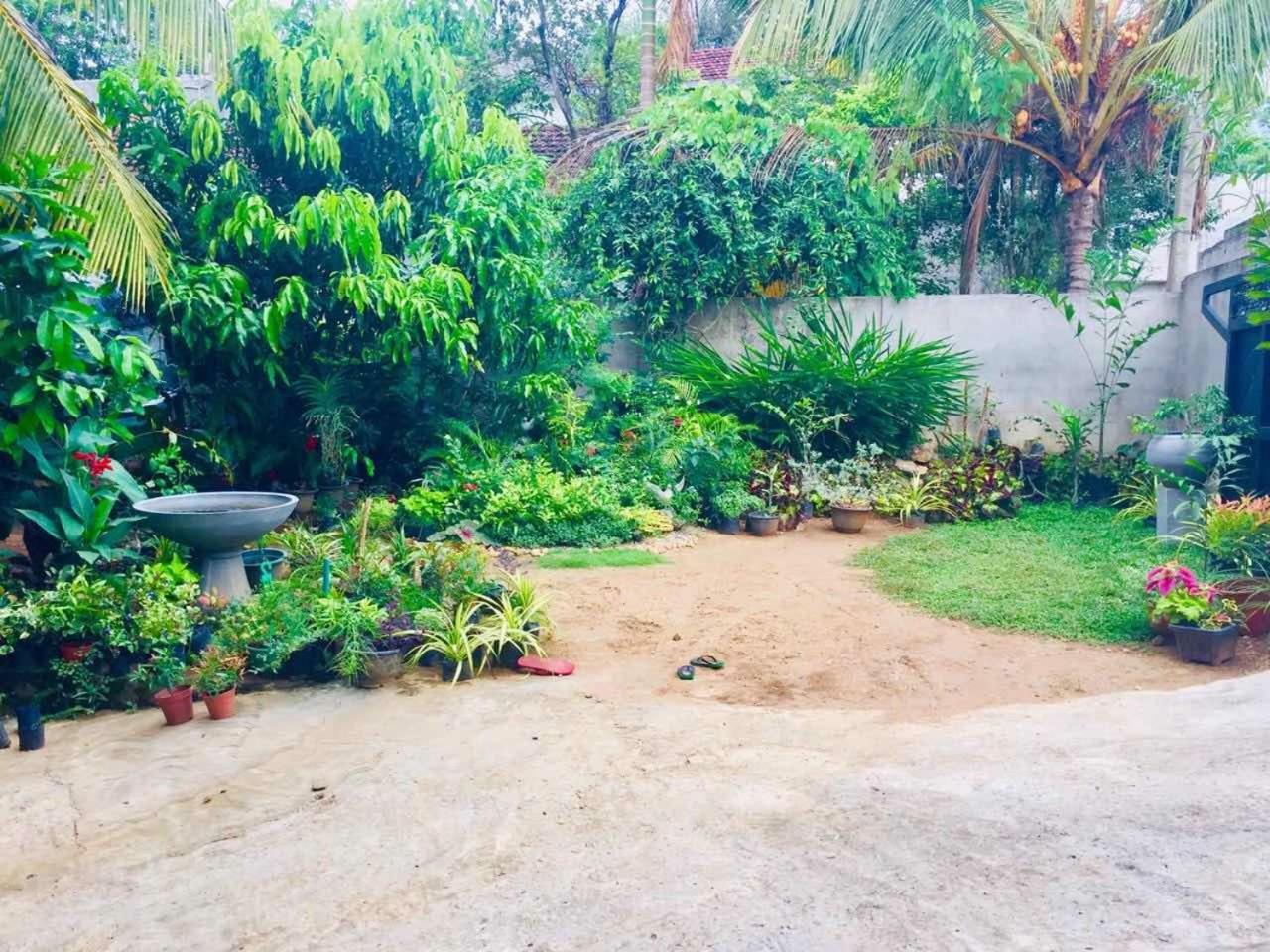 Suwani Pinnawala Homestay Esterno foto